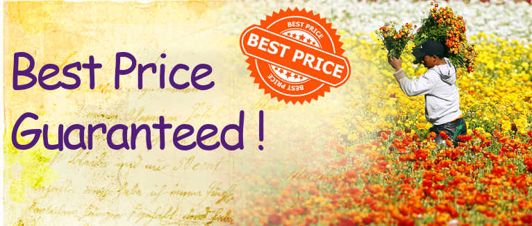 Click to view our Best Price policy